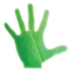 Energy Leaders Handprint Logo
