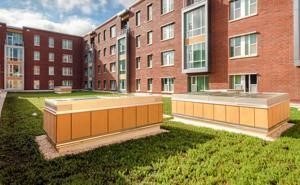 Wolf Ridge apartments feature a green roof that reduces the building’s heat absorption and filters stormwater.