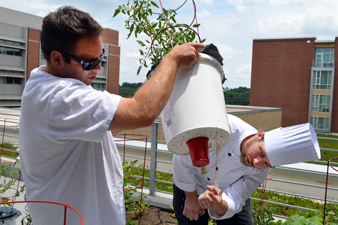 Sous Chef David Johnson, left, and Chef Adam Smith demonstrate how efficiently plants are watered in the University Dining roofside garden at Wolf Ridge.