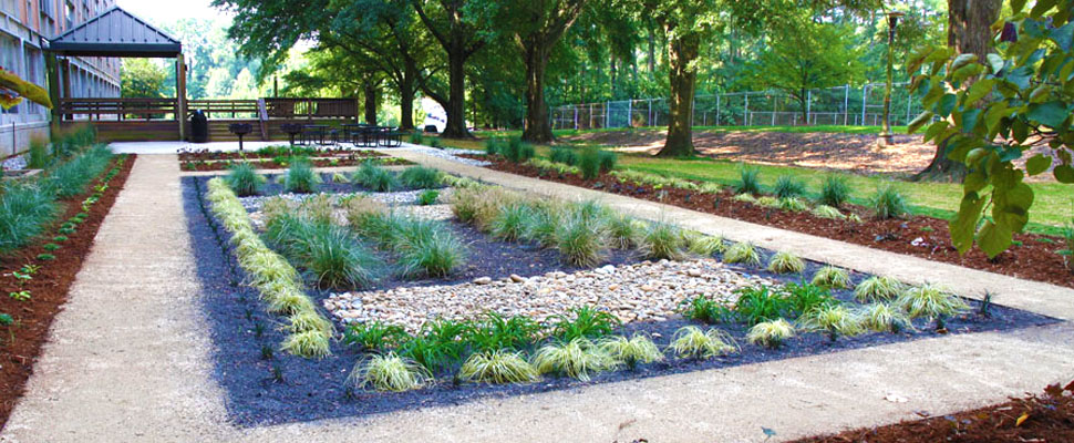 Why Your Yard Might Need a Rain Garden - Sustainability