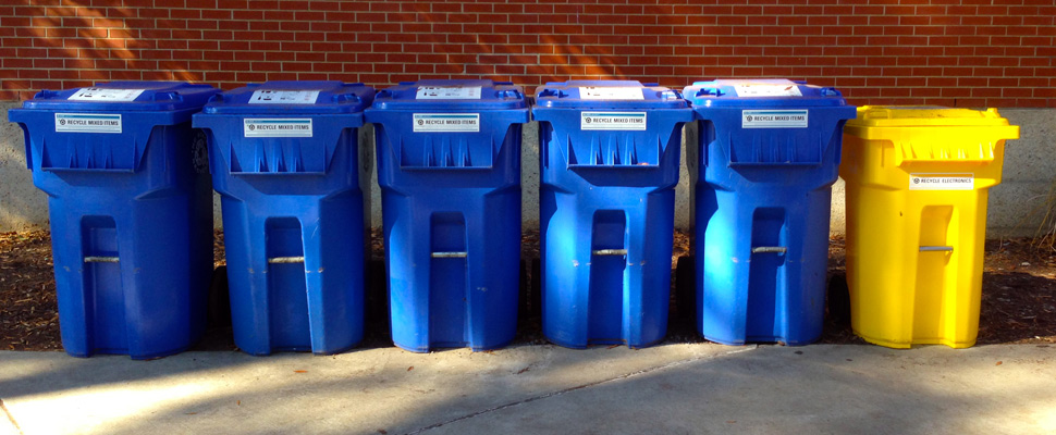 Quiz: Recycling Reality Or Myth?  