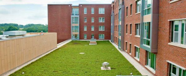 are green roofs a modern invention