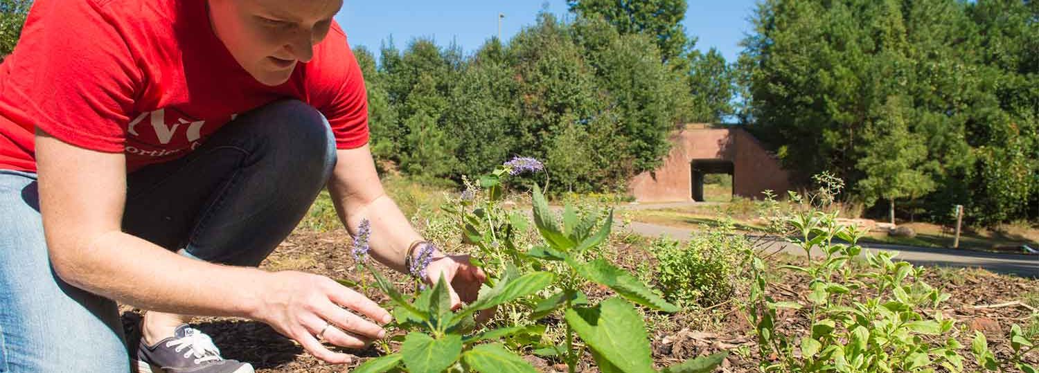 student kneels down next to pollinator plant outdoors