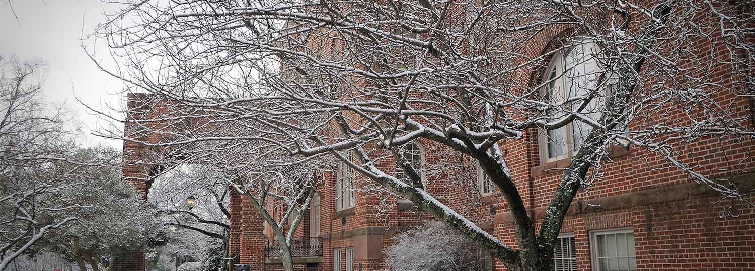 Winter scene on Main Campus with snow on trees and ground but cleared brick path