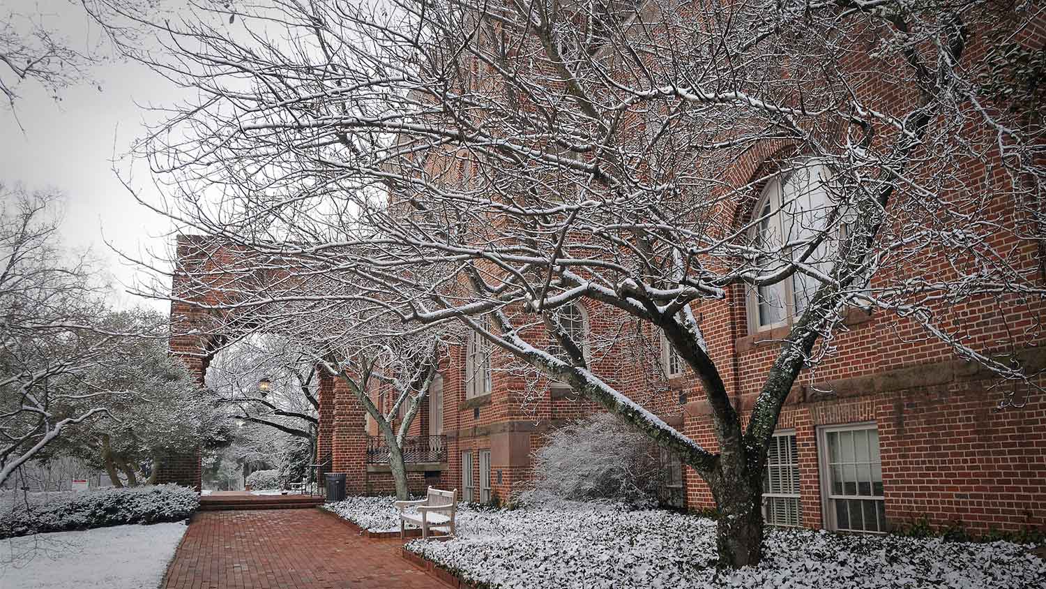 Winter scene on Main Campus with snow on trees and ground but cleared brick path