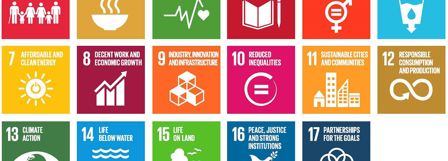 Chart that displays the icons for each sustainable development goal.