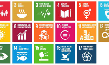 Chart that displays the icons for each sustainable development goal.