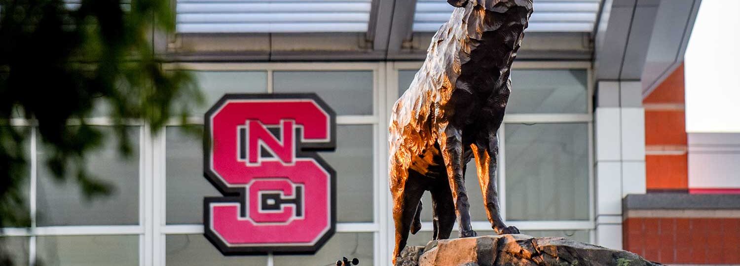 Wolf statue in front of NC State Athletics building.