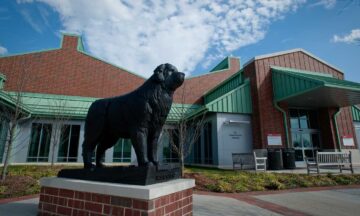 Remediation of air gaps boosts energy savings at Terry Companion Veterinary Medicine on the NC State Centennial Biomedical Campus.