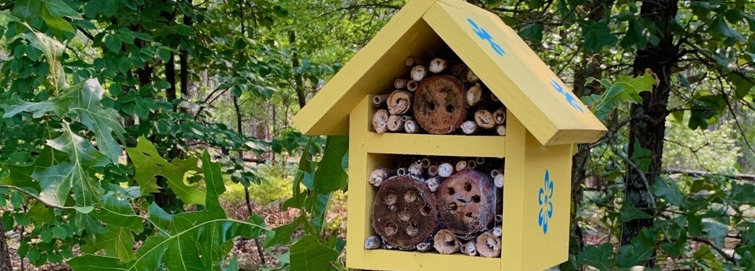 A bee hotel hanging in a backyard garden