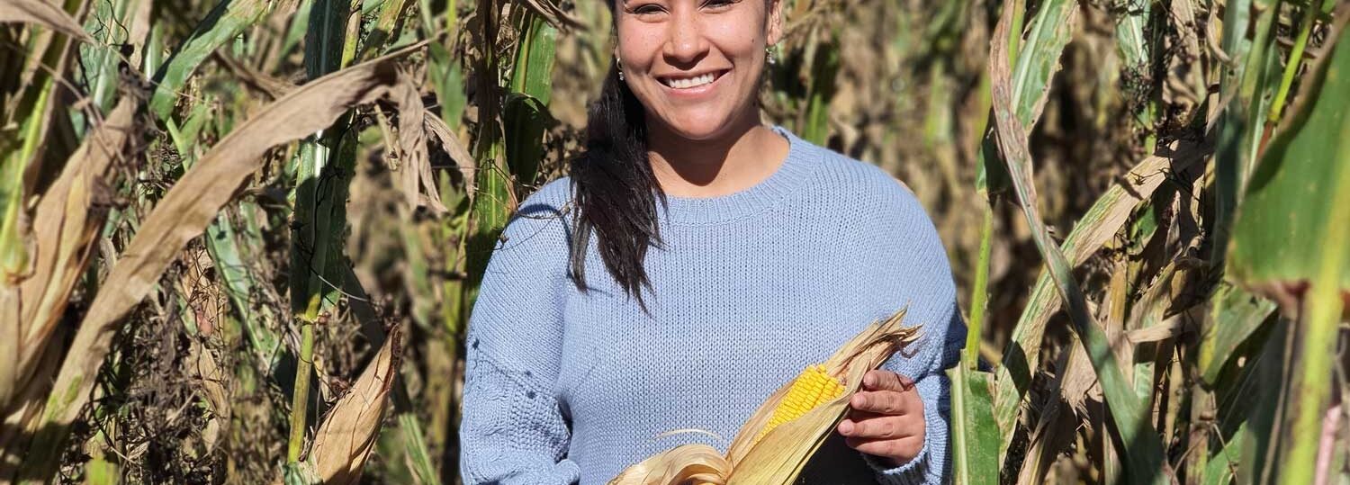 Daniela Jones holding and ear of corn in a corn field