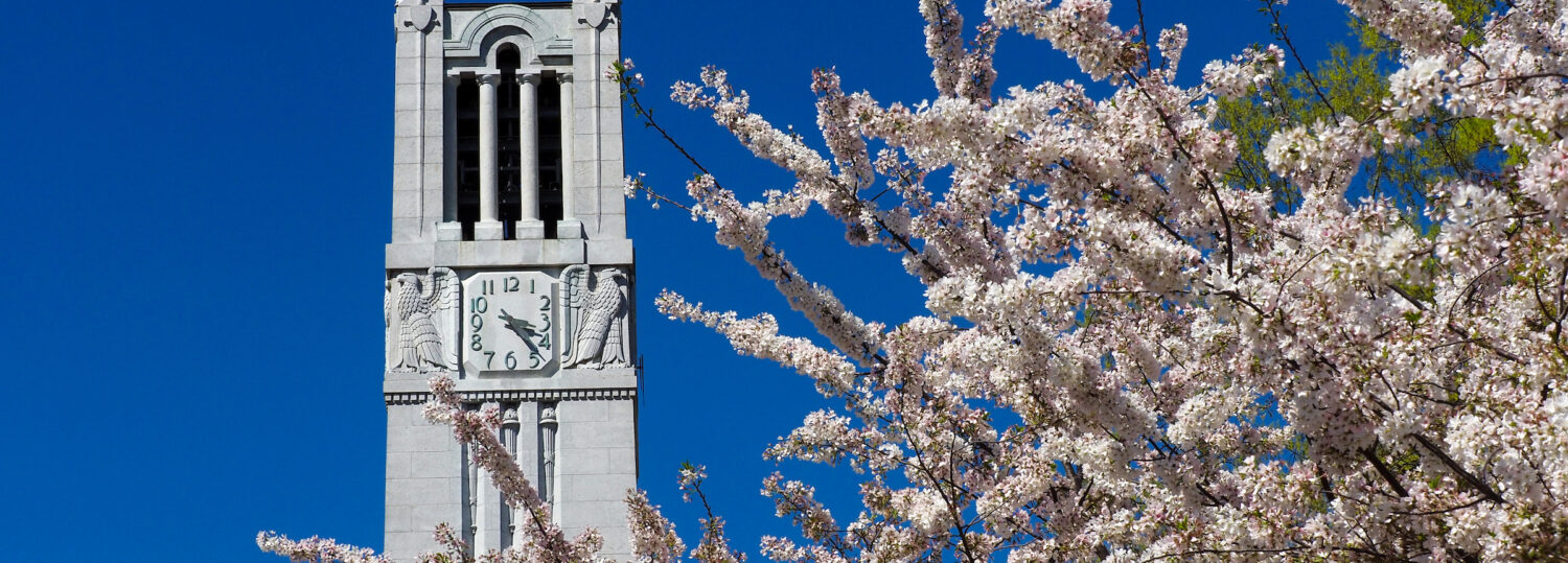 The NC State belltower stands, surrounded by blooms of spring. Photo by Marc Hall.