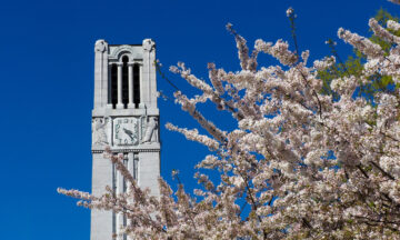 The NC State belltower stands, surrounded by blooms of spring. Photo by Marc Hall.