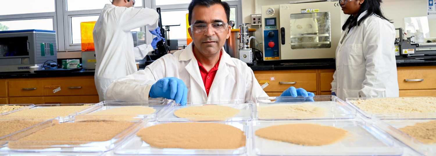 Department of Forest Biomaterials researchers have developed a new biomaterial made from sawdust.