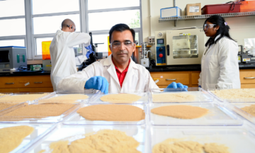 Department of Forest Biomaterials researchers have developed a new biomaterial made from sawdust.