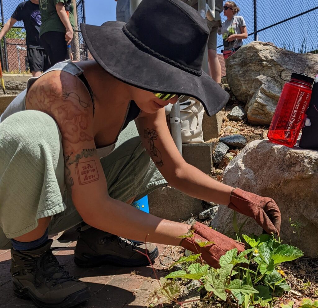 Student wearing hat and gardening gloves plants a strawberry plant in the ground