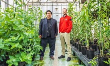 Jack Wang and Rodolphe Barrangou in a greenhouse
