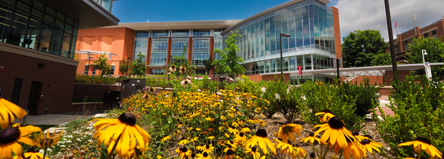 NC State's Talley Student Union is framed by summer flowers.