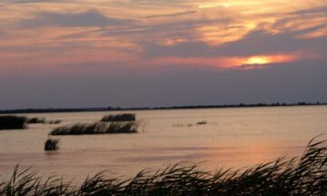Sunset at Lake Mattamuskeet. (Photo by Allie Stewart/US Fish & Wildlife Service)