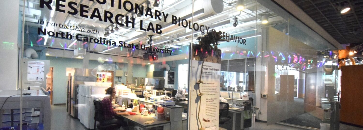 View of the Evolutionary Biology and Behavior Research Lab at NC Museum of Natural Sciences