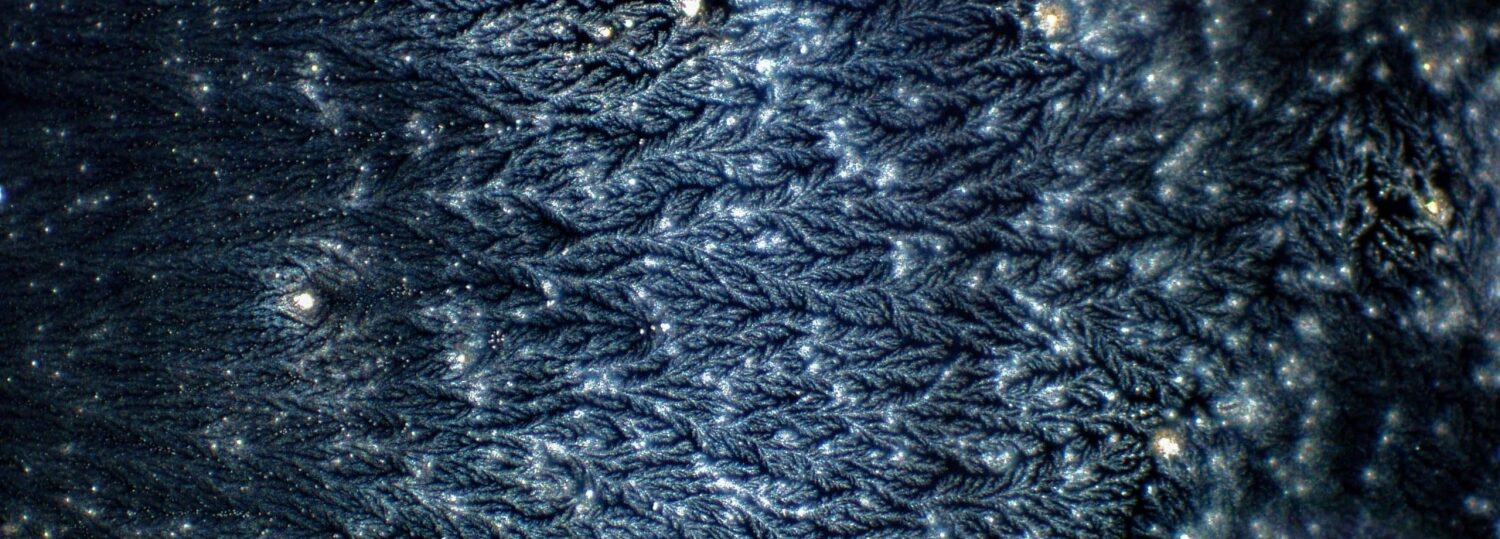 blue-ish white dots and lines against a black backdrop resemble a night sky, but are actually a microscopic image of salt crystals and a fluorescently labeled virus