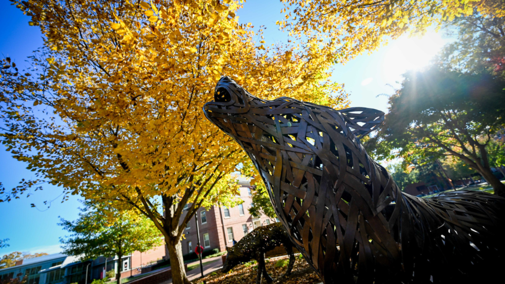 Afternoon sunlight streams through the fall foliage at Wolf Plaza, shining on single metal wolf howling sculpture.