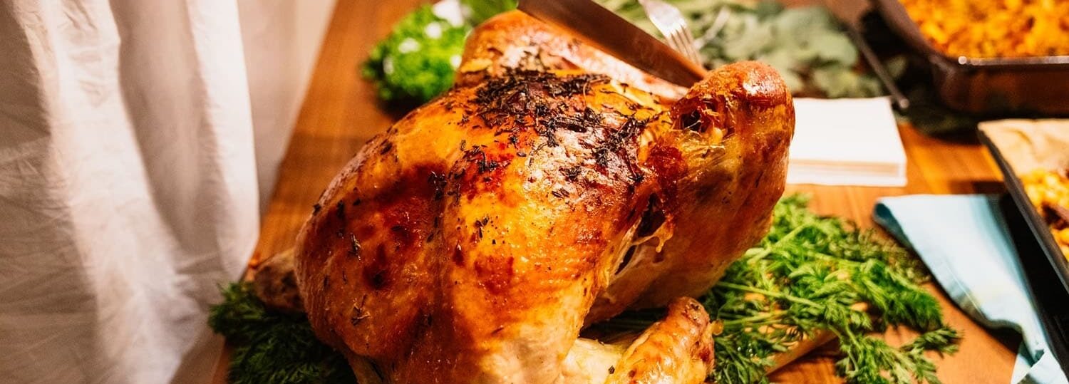 a roast turkey rests on a kitchen counter