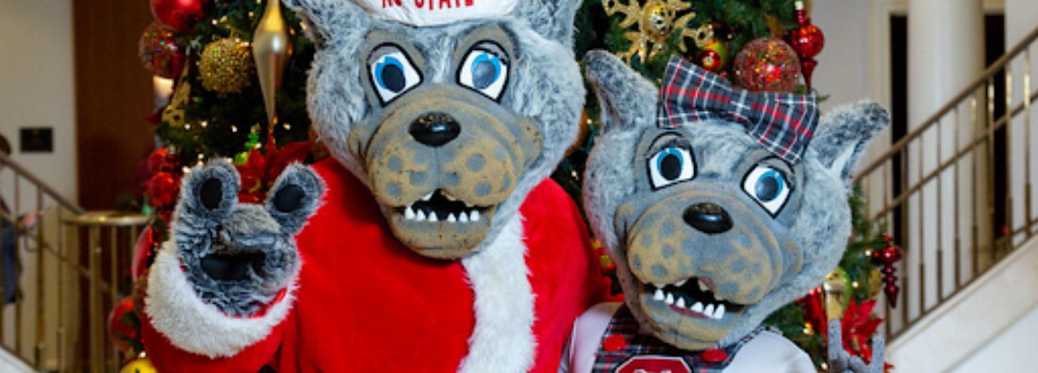 Mr. and Ms. Wuf in front of a tree decorated for the holidays.