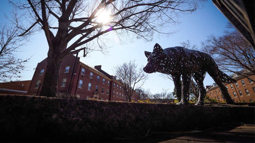 A wolf statue in front of Lee and Sullivan Residence Halls on a winter day