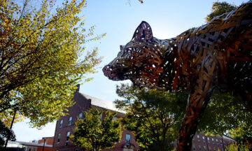 NC State wolf statue
