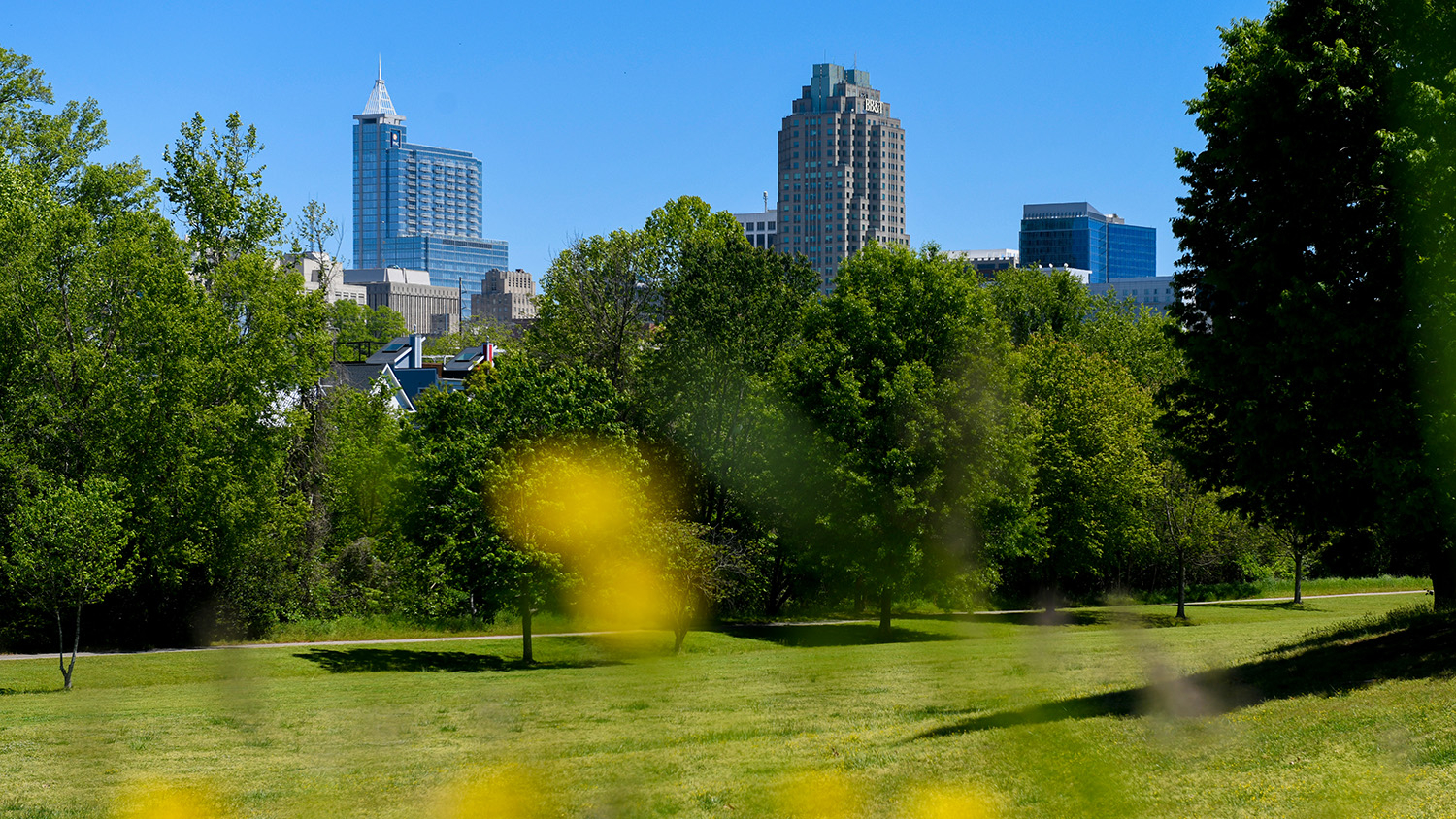 Dorthea Dix Park offers a view of the downtown Raleigh skyline.