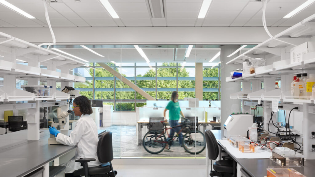 Plant Sciences Building CALS lab space bright white tables windows with bike in background