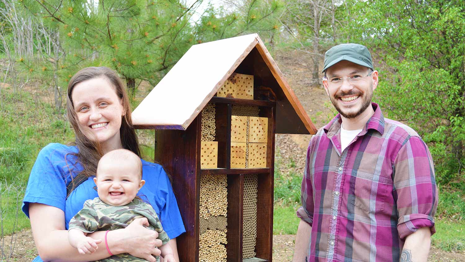 bee hotel