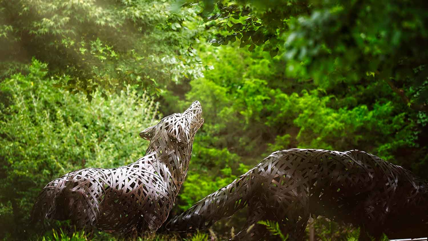 Iron wolves sculpture framed by green ferns and trees