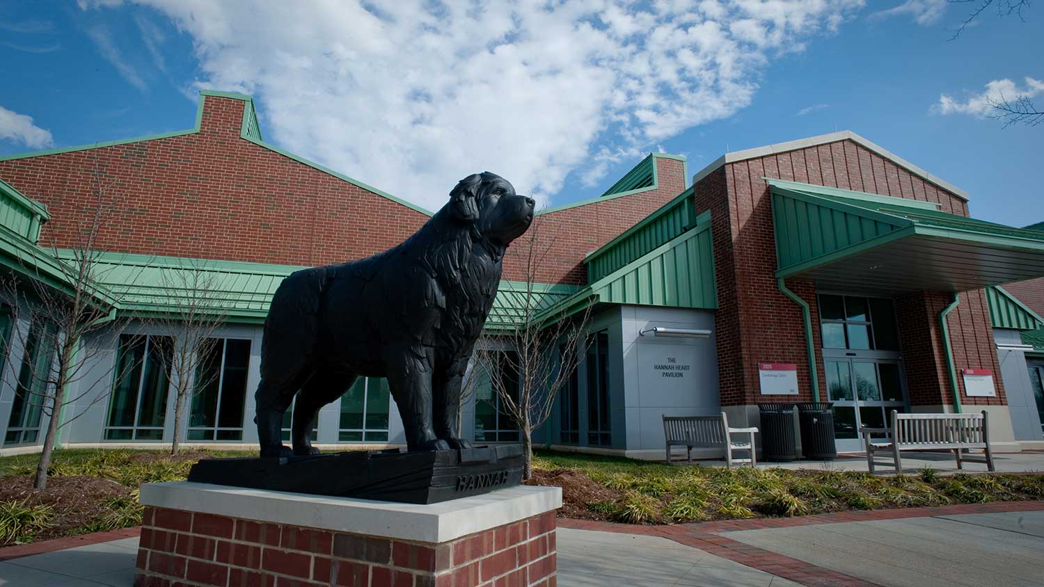 Remediation of air gaps boosts energy savings at Terry Companion Veterinary Medicine on the NC State Centennial Biomedical Campus.