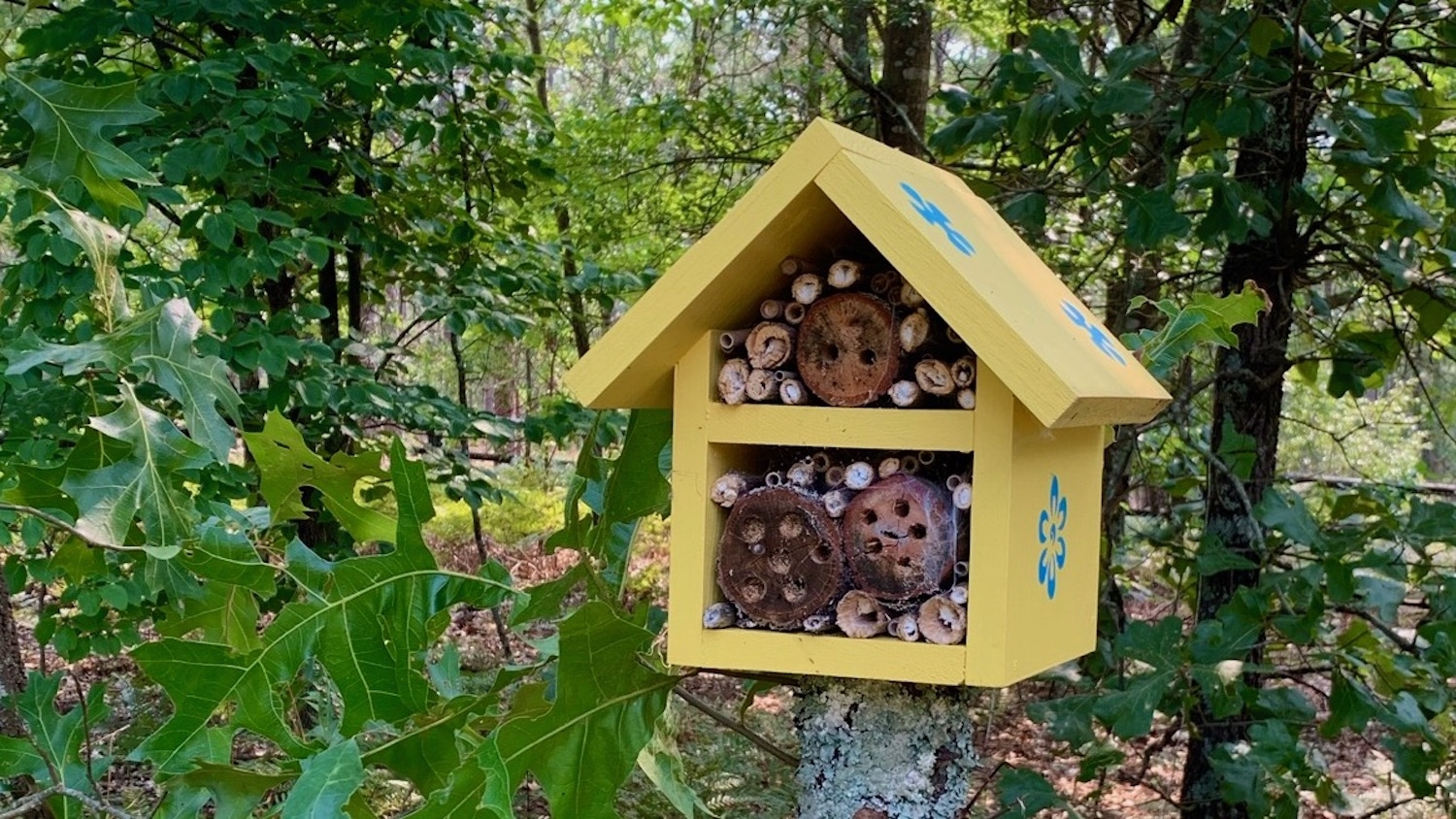 A bee hotel hanging in a backyard garden