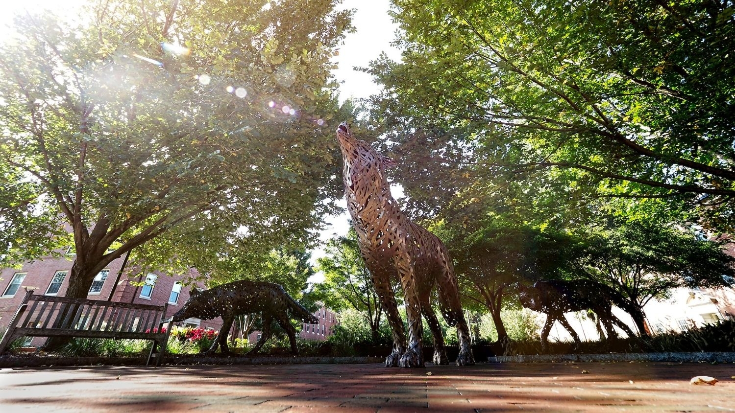 Wolf Plaza, featuring 3 metal sculpted wolves in sunlight.