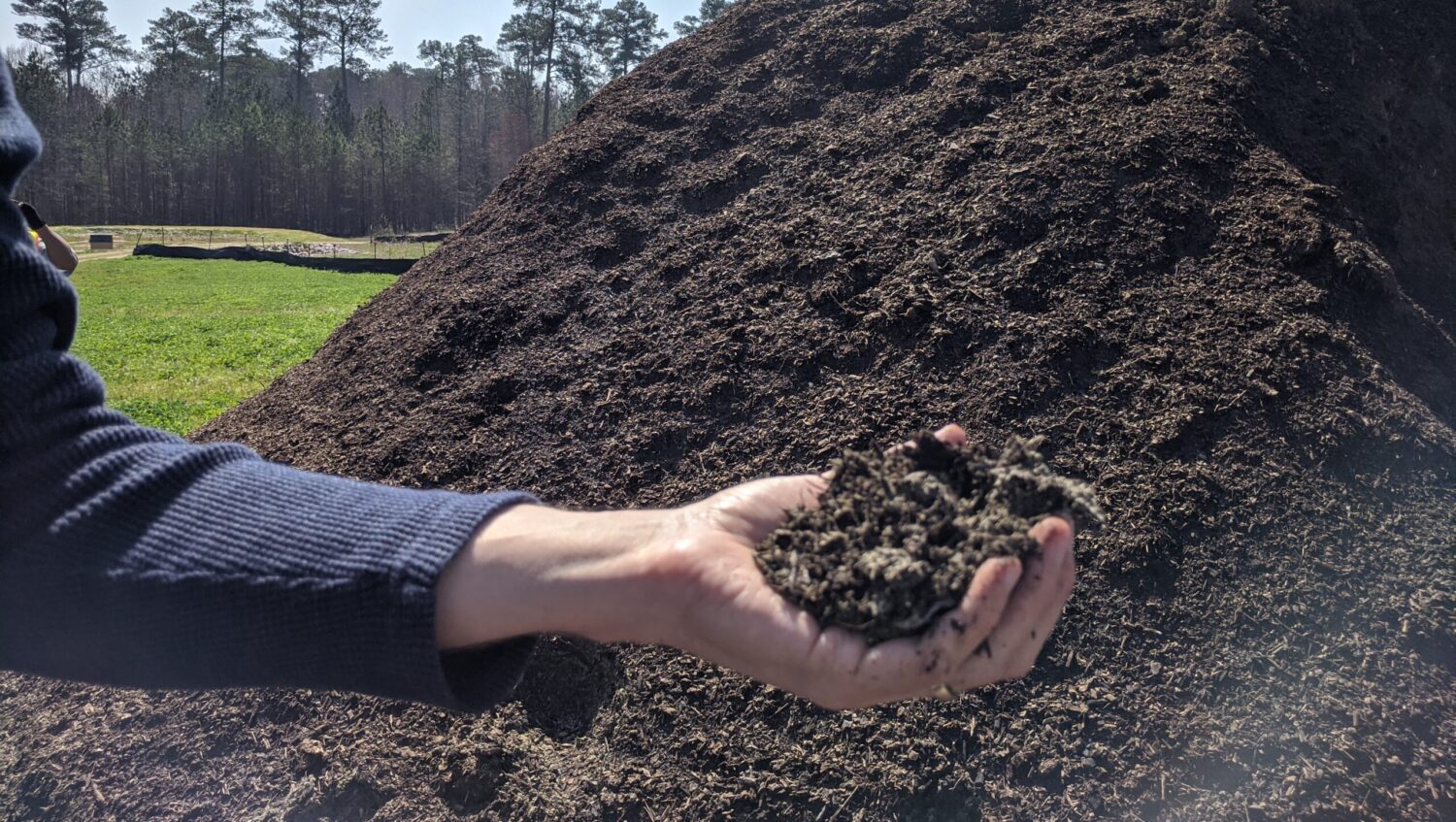 Hand holding pile of compost