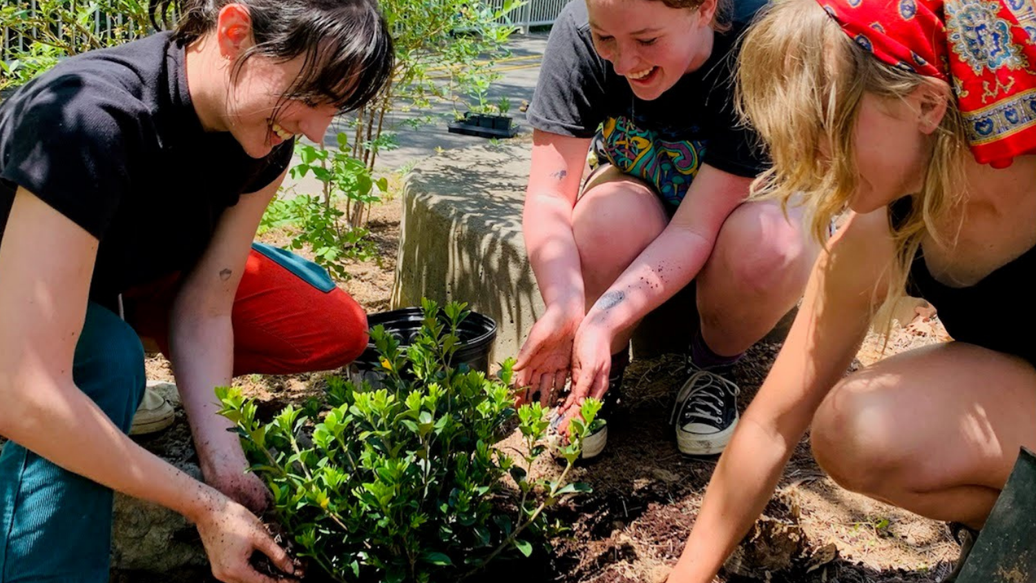 3 students working in garden together