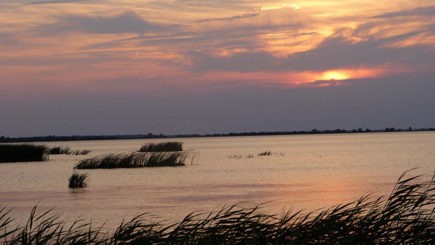 Sunset at Lake Mattamuskeet. (Photo by Allie Stewart/US Fish & Wildlife Service)