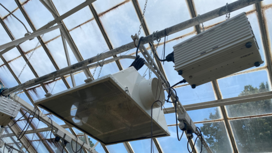 interior view of old greenhouse lights made of inefficient metal halide lights.