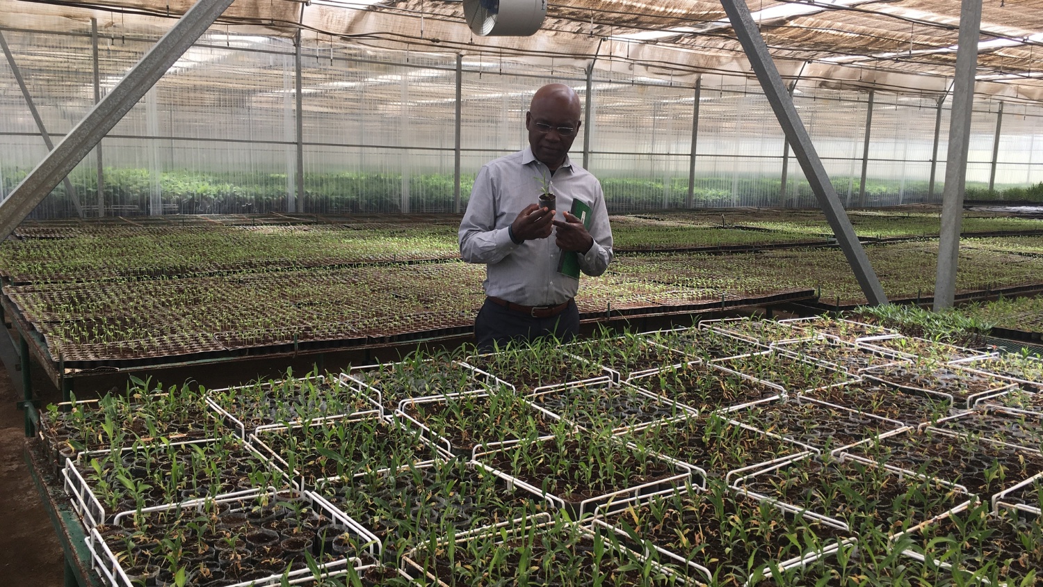 Sydney Seymour in a greenhouse at a biotech company in Ethiopia