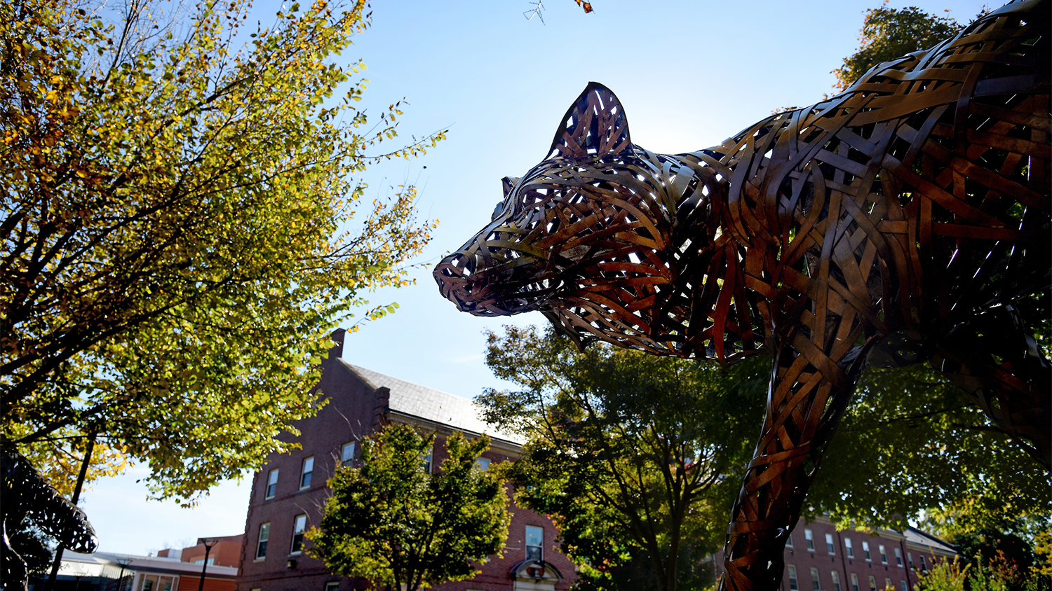 NC State wolf statue