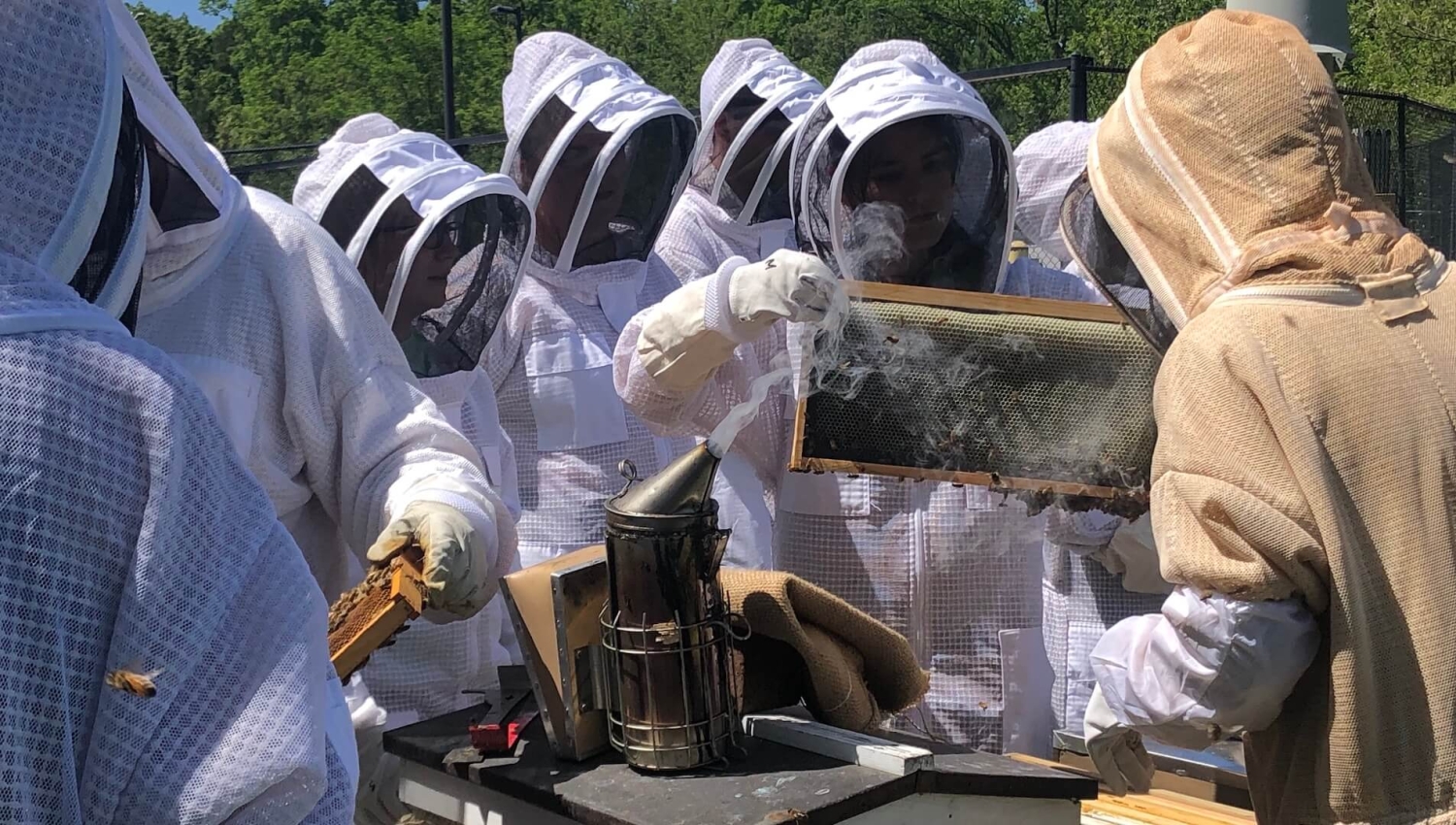 NC State veterinary students learn about beekeeping