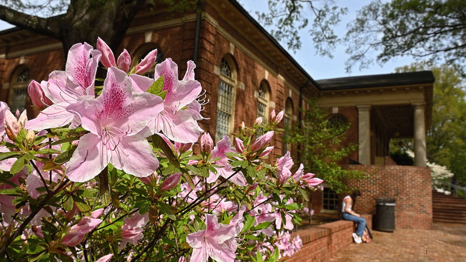 Spring flowers bloom in front of Leazar Hall on a warm, spring day on main campus. Photo by Marc Hall.