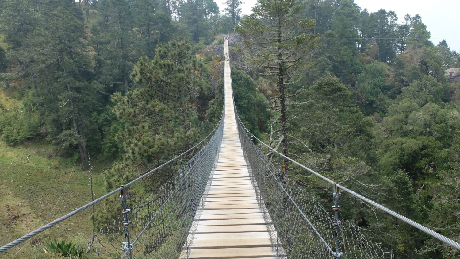 Suspension bridge