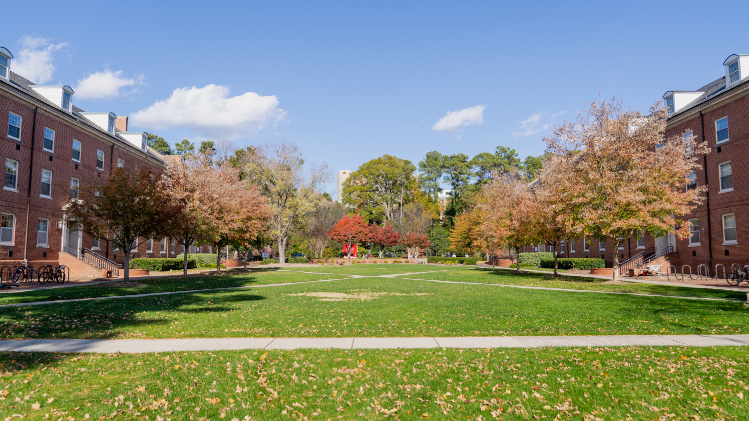 The courtyard between Turlington and Alexander Residence Halls.