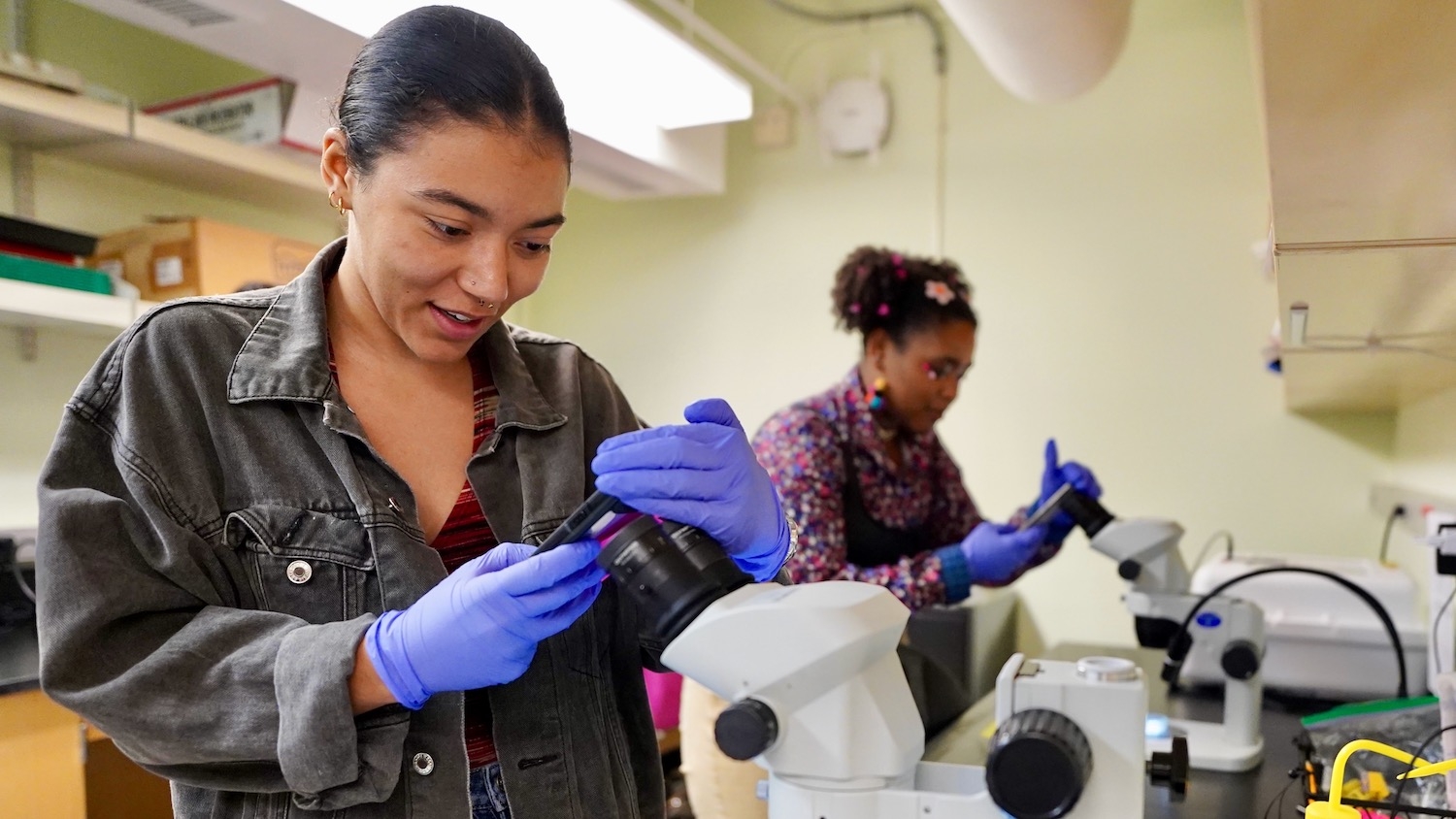 SE CASC Science Communication interns take photos through the microscope with their cell phones.