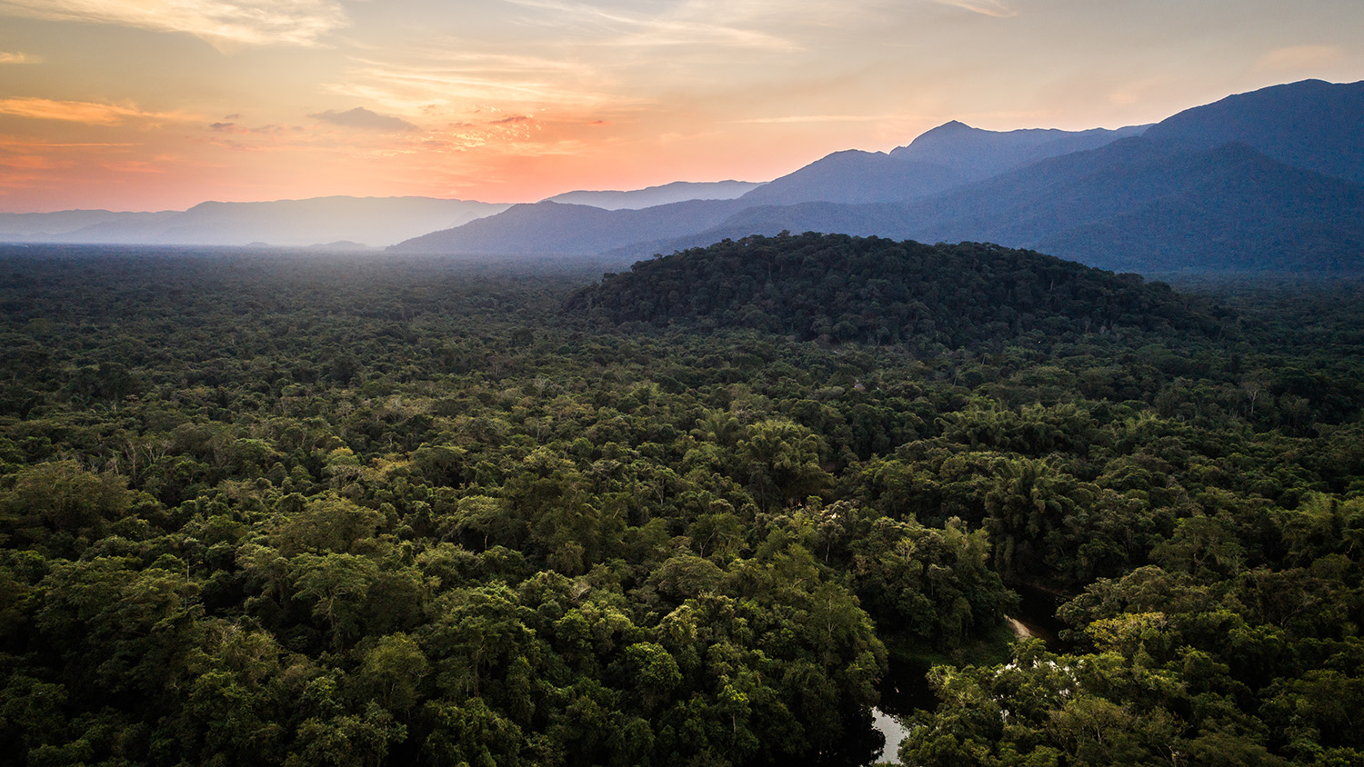 Atlantic Forest in Brazil