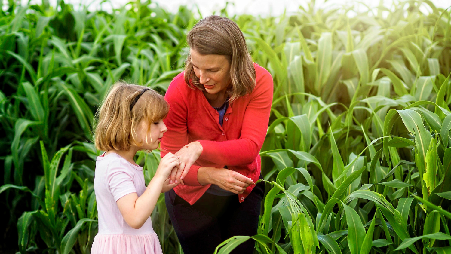 Professor and Extension specialst in Entomology and plant pathology, Hannah Burrack and a young child examine a small bug they found in a corn field at the Lake Wheeler farm. Photo by Marc Hall